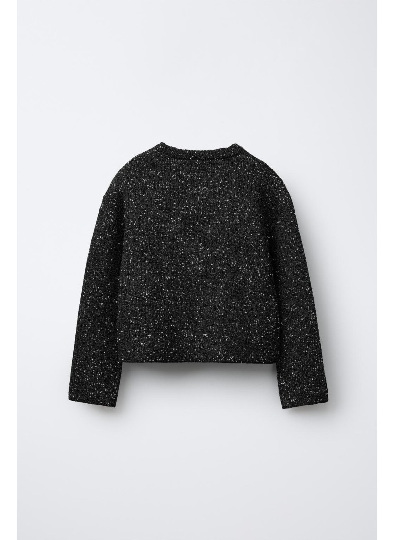 СВИТЕР С ПАЙЕТКАМИ СВИТЕР С ПАЙЕТКАМИ