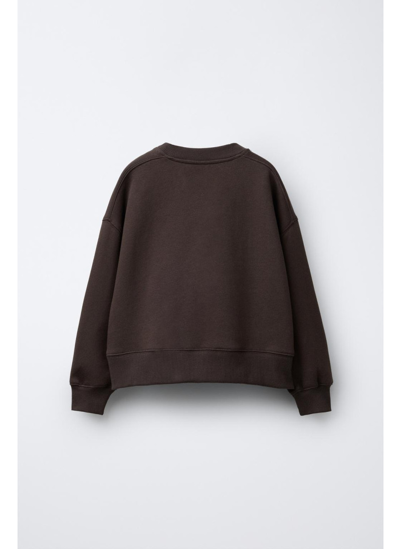 ТОЛСТОВКА С ВЫШИТОЙ НАДПИСЬЮ И ЩЕНКОМ ТОЛСТОВКА С ВЫШИТОЙ НАДПИСЬЮ И ЩЕНКОМ