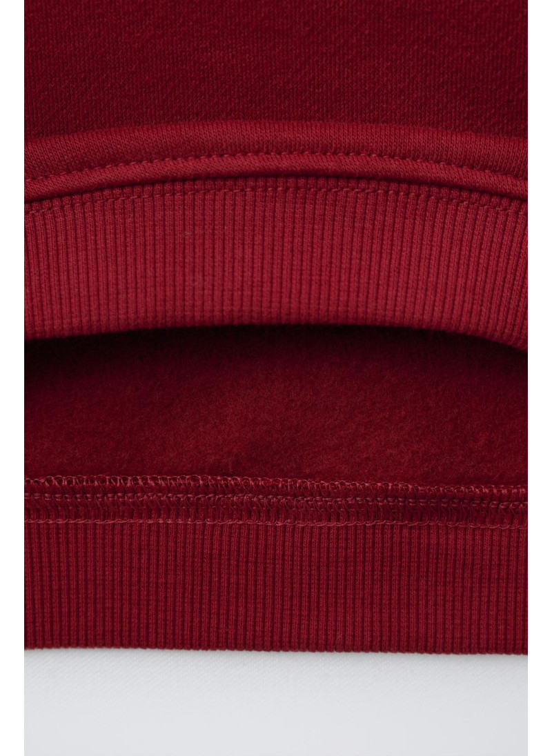 КОМПЛЕКТ ИЗ ТОЛСТОВКИ С МАХРОВОЙ АППЛИКАЦИЕЙ И БРЮК-ДЖОГГЕРОВ КОМПЛЕКТ ИЗ ТОЛСТОВКИ С МАХРОВОЙ АППЛИКАЦИЕЙ И БРЮК-ДЖОГГЕРОВ