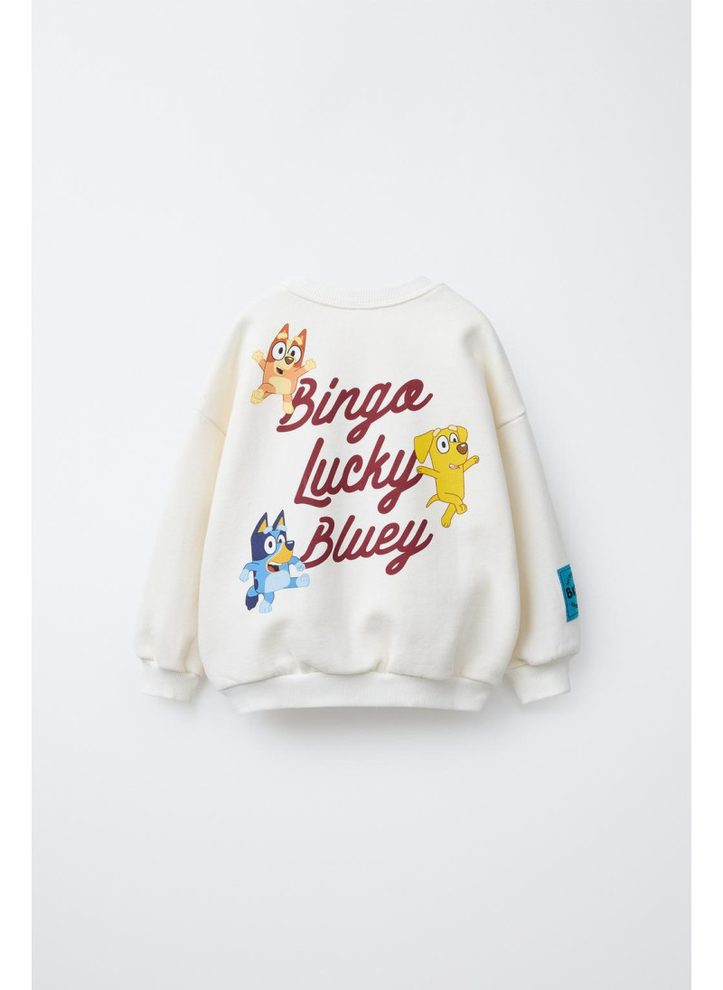 ТОЛСТОВКА С ВЫШИВКОЙ BLUEY © LUDO STUDIO ТОЛСТОВКА С ВЫШИВКОЙ BLUEY © LUDO STUDIO