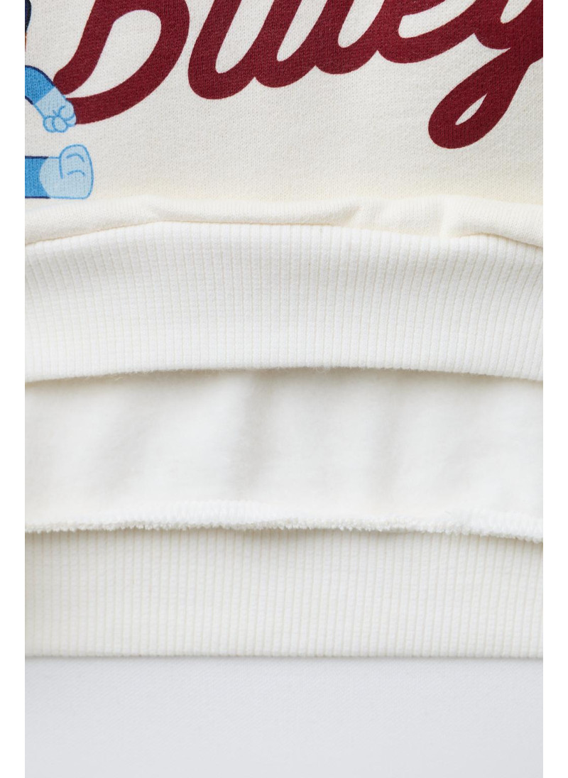 ТОЛСТОВКА С ВЫШИВКОЙ BLUEY © LUDO STUDIO ТОЛСТОВКА С ВЫШИВКОЙ BLUEY © LUDO STUDIO