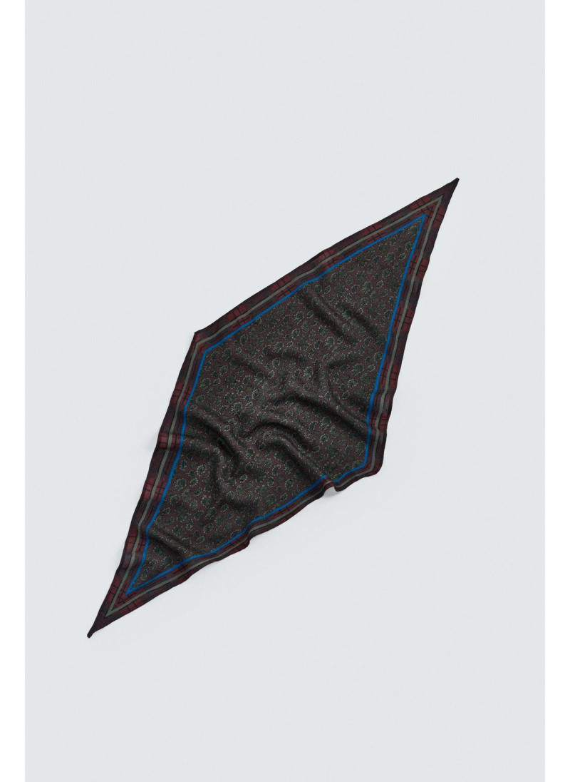 Шерстяной шелковый пейсли ограниченное издание шарфа Шерстяной шелковый пейсли ограниченное издание шарфа