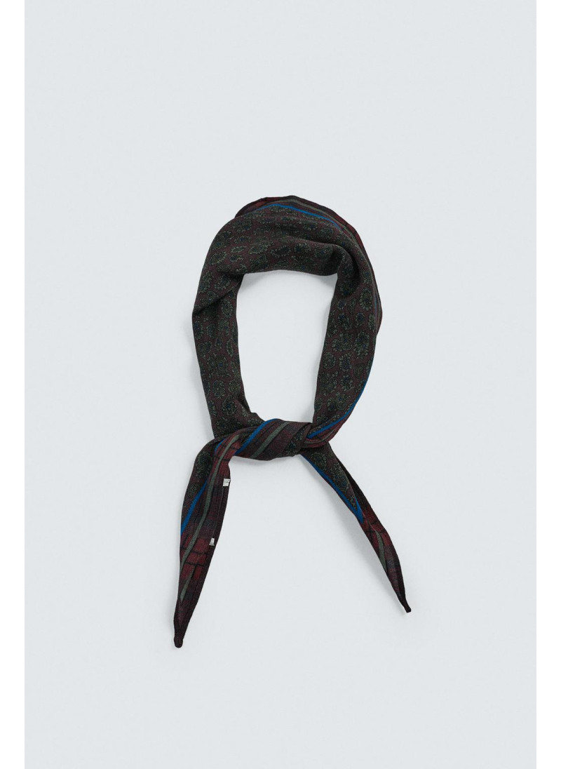 Шерстяной шелковый пейсли ограниченное издание шарфа Шерстяной шелковый пейсли ограниченное издание шарфа