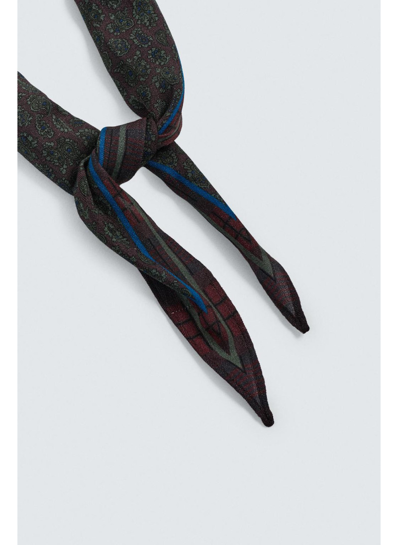 Шерстяной шелковый пейсли ограниченное издание шарфа Шерстяной шелковый пейсли ограниченное издание шарфа