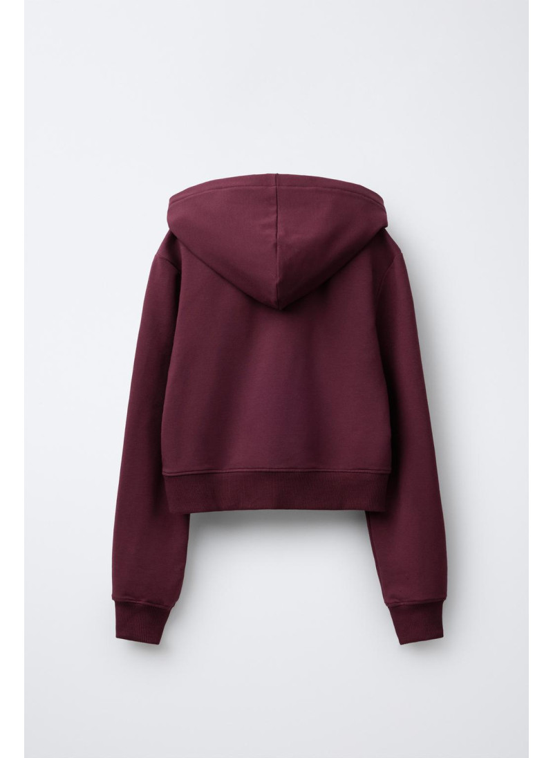 ТОЛСТОВКА НА МОЛНИИ ОДНОТОННАЯ ТОЛСТОВКА НА МОЛНИИ ОДНОТОННАЯ