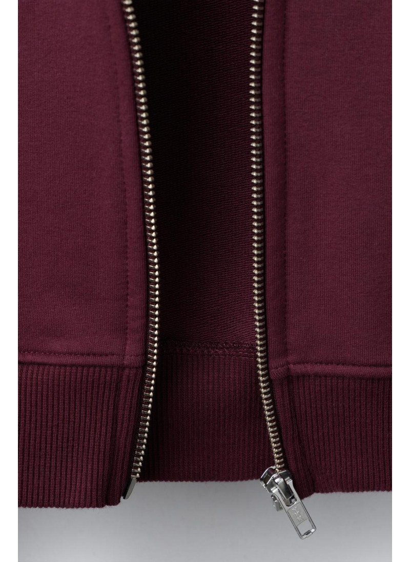 ТОЛСТОВКА НА МОЛНИИ ОДНОТОННАЯ ТОЛСТОВКА НА МОЛНИИ ОДНОТОННАЯ